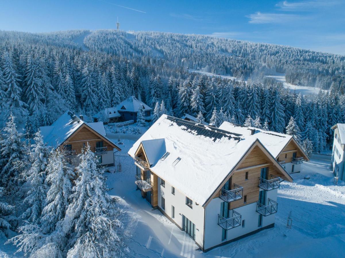 Ski Chalet Klinovec Лоучна-под-Клиновцем Экстерьер фото