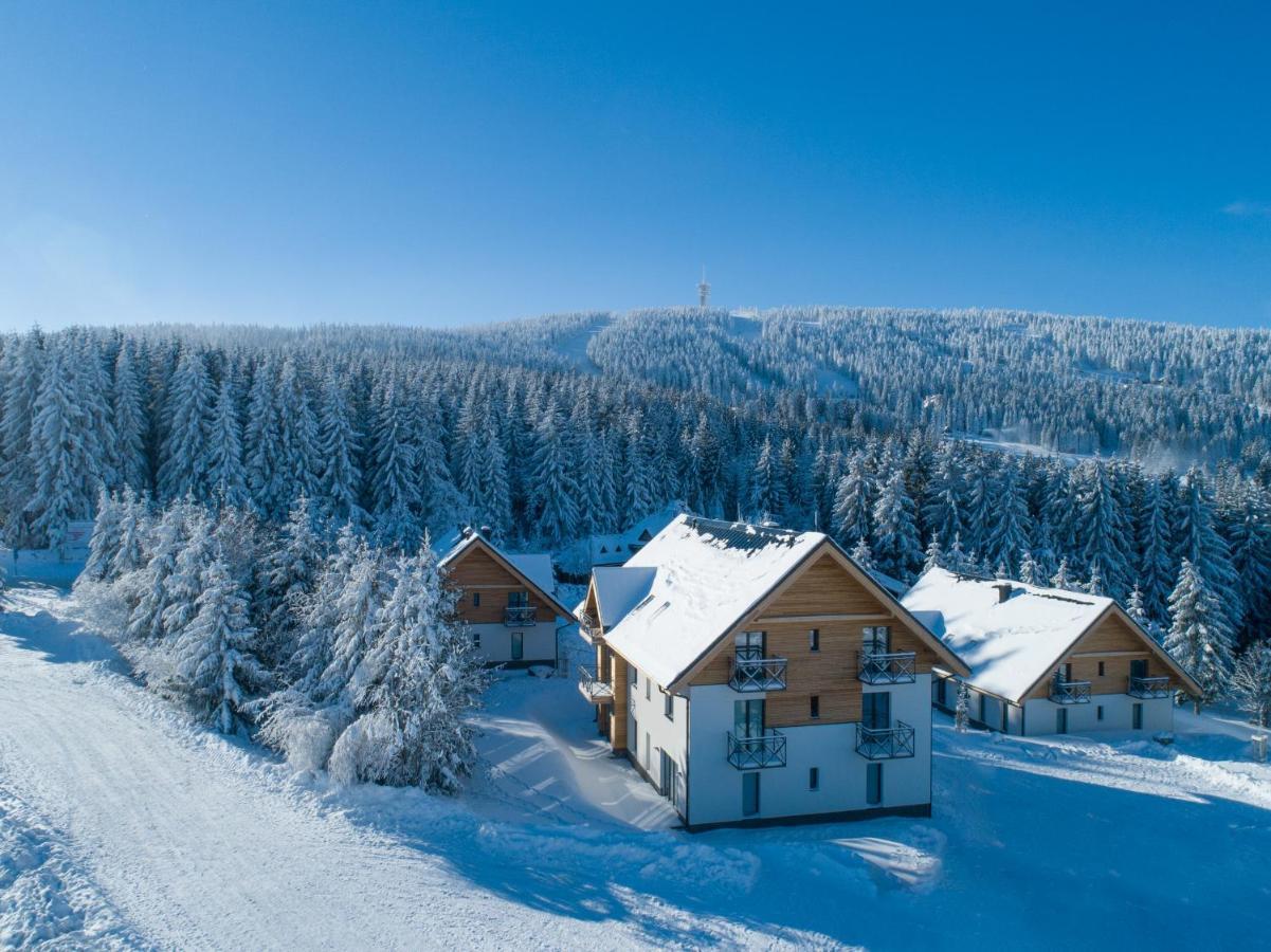 Ski Chalet Klinovec Лоучна-под-Клиновцем Экстерьер фото