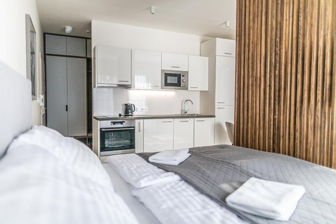Ski Chalet Klinovec Лоучна-под-Клиновцем Экстерьер фото