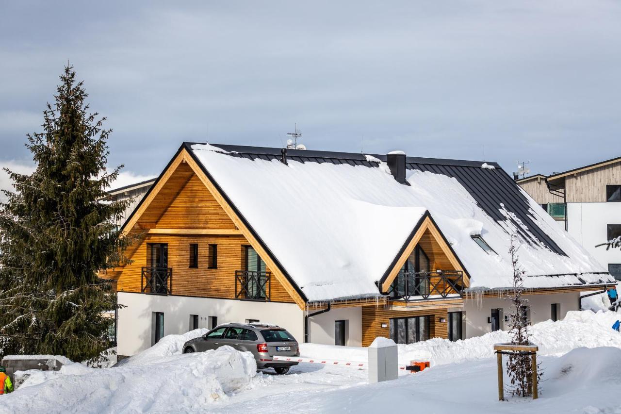 Ski Chalet Klinovec Лоучна-под-Клиновцем Экстерьер фото
