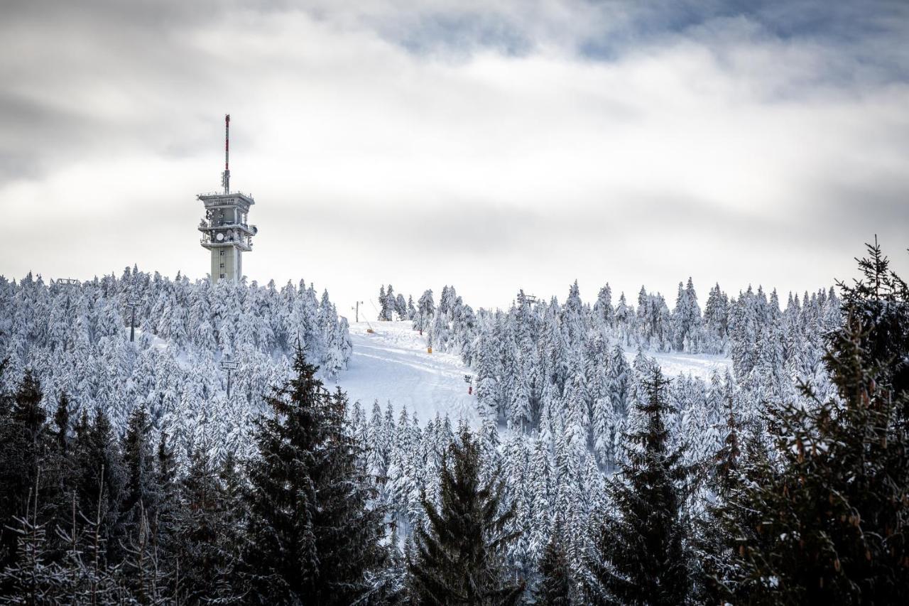 Ski Chalet Klinovec Лоучна-под-Клиновцем Экстерьер фото