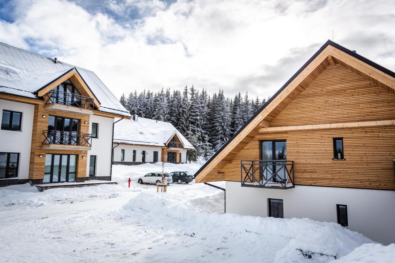 Ski Chalet Klinovec Лоучна-под-Клиновцем Экстерьер фото