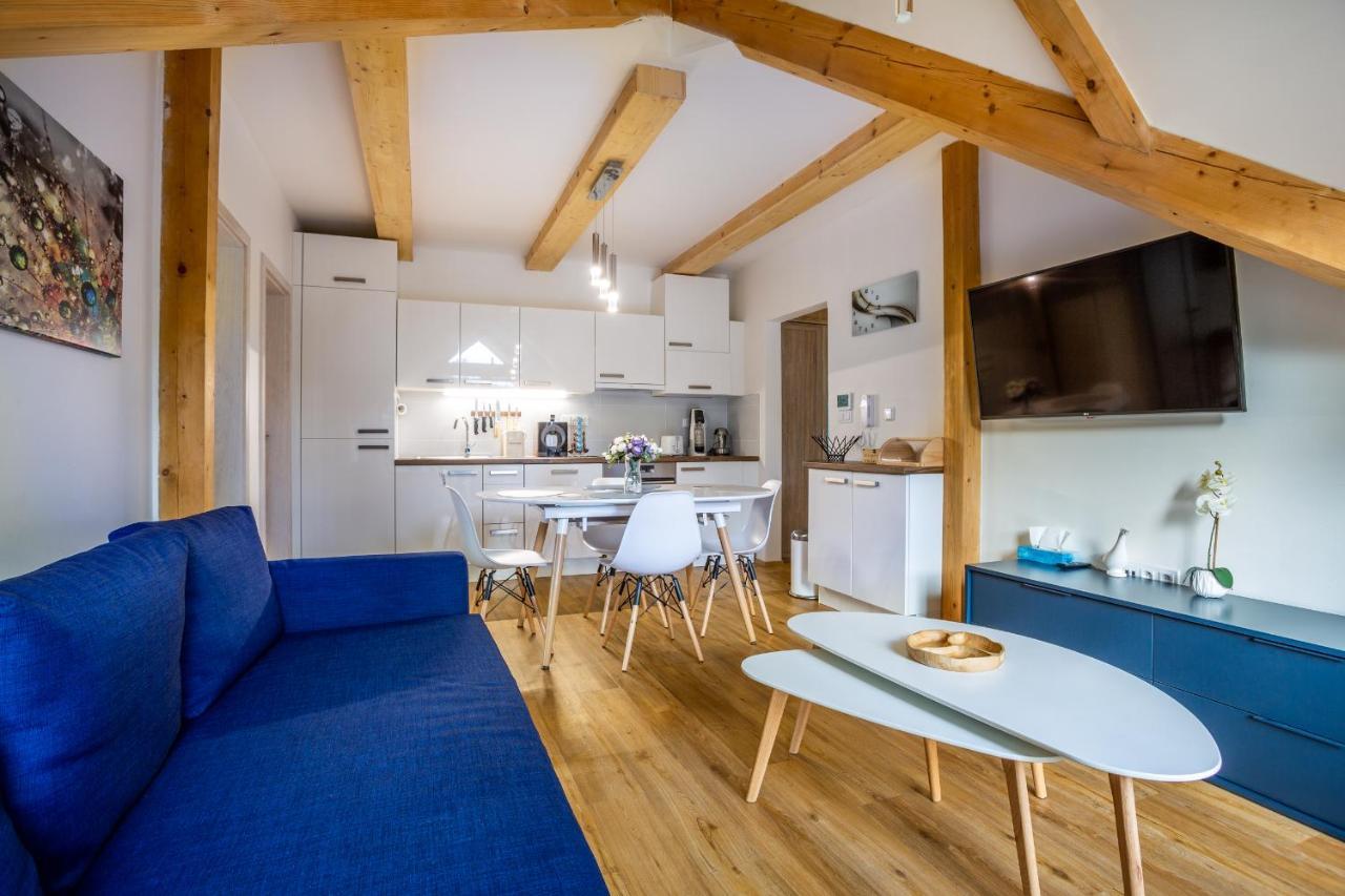 Ski Chalet Klinovec Лоучна-под-Клиновцем Экстерьер фото